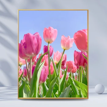 Tulipán Květiny Obrázky, Malování Podle Čísel Sady Barva podle čísel na Plátno Pro Dospělé Wall Art Domácí Dekoraci, Dárek
