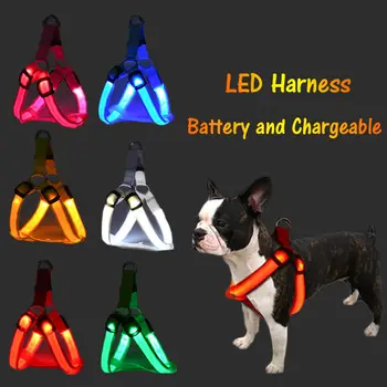 USB LED Postroj Pes Dobíjecí Světlo Pet Kočka Chůzi na Vodítku Vesta, Bezpečnostní Popruh na Krk Nylon Blikající Příslušenství pro Teddy Kozy
