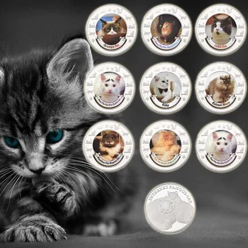 Roztomilé Zvířecí Krásné Pet Kočka Pamětní Mince Sam Kočka Má Obočí Hamilton Bederní Kočka Pozlacený Odznak Kolekce Dary