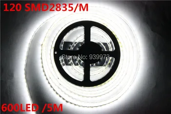 12V 24V 5M 2835 SMD 120led/m 600Leds Bílá Teplá Bílá Neutrální bílá Flexibilní LED pásek Vodotěsný více jasnější, než 3528 pás