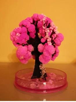 90mm Růžové Ploše Cherry Blossom v Pohodě ThumbsUp Magie Japonské Sakury Strom Zbrusu Nově Vyrobené v Japonsku Roste Papíru, Stromy, Děti, Hračky