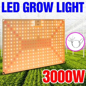 3000W Phyto Lampy Pro Rostliny Full Spectrum Led Grow Světlo, Růst Světlo, Hydroponie Osvětlení Vnitřní Květ, Semeno Kvantové Deska 2000W