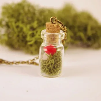 Červené houby zelený mech náhrdelník Pendentif terárium Lesní mech Skutečný mech příroda šperky Láhev náhrdelník Dárek