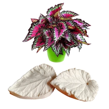 Begonia List Veiner Silikonové Formy, Dort Čokoládový Fondant Gumpaste Cukru Clay Flower Dort Zdobení Formy DIY M2111