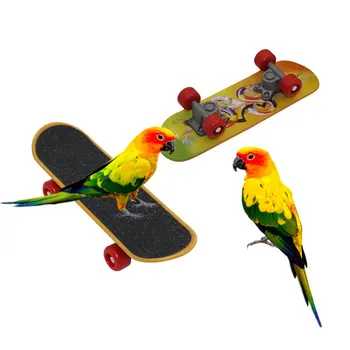 Bird Hračky Zábavné Mini Skateboard Pro Papouška Andulky Andulka Růst Inteligence Školení