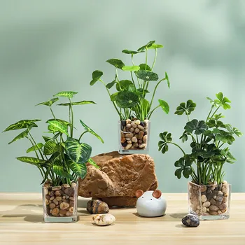 Simulace Hrnkové Rostliny, Bonsaje Ornament, Přirozený Plastové Domů Tráva Zelená Čtyři Leaf Clover Transparentní Vázy, Rostliny V Květináčích Interiéru